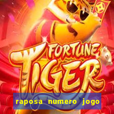 raposa numero jogo do bicho